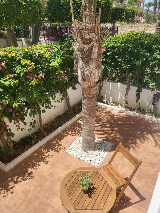 ¡Bajo Precioso Con Salida Directa A La Piscina Comunitaria En Paraiso De Vera! Εξωτερικό φωτογραφία