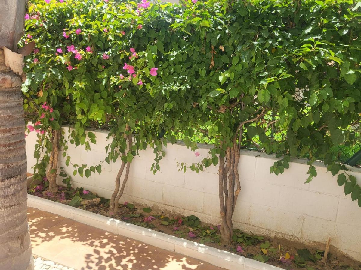 ¡Bajo Precioso Con Salida Directa A La Piscina Comunitaria En Paraiso De Vera! Εξωτερικό φωτογραφία